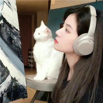你好赛先生第二季
